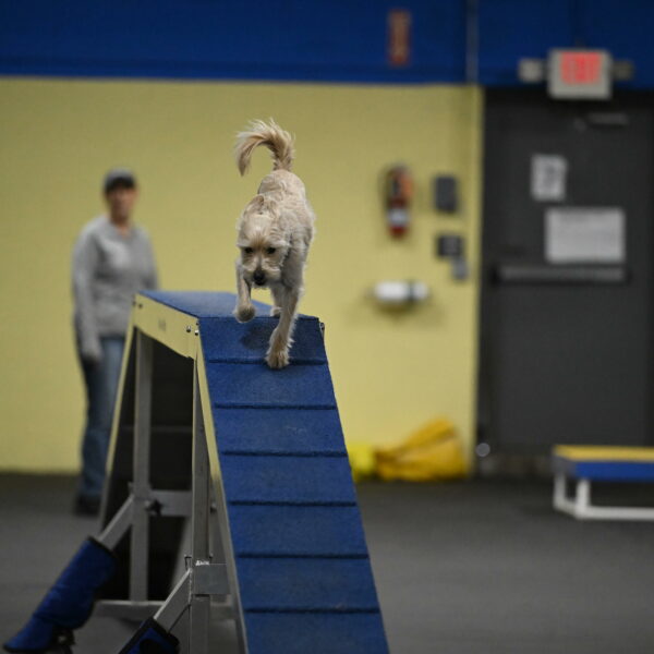 Sammy-Klembara-12271