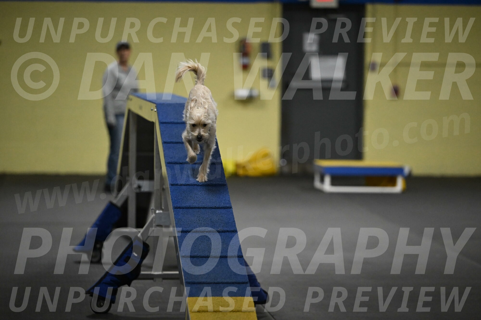 Sammy-Klembara-12274