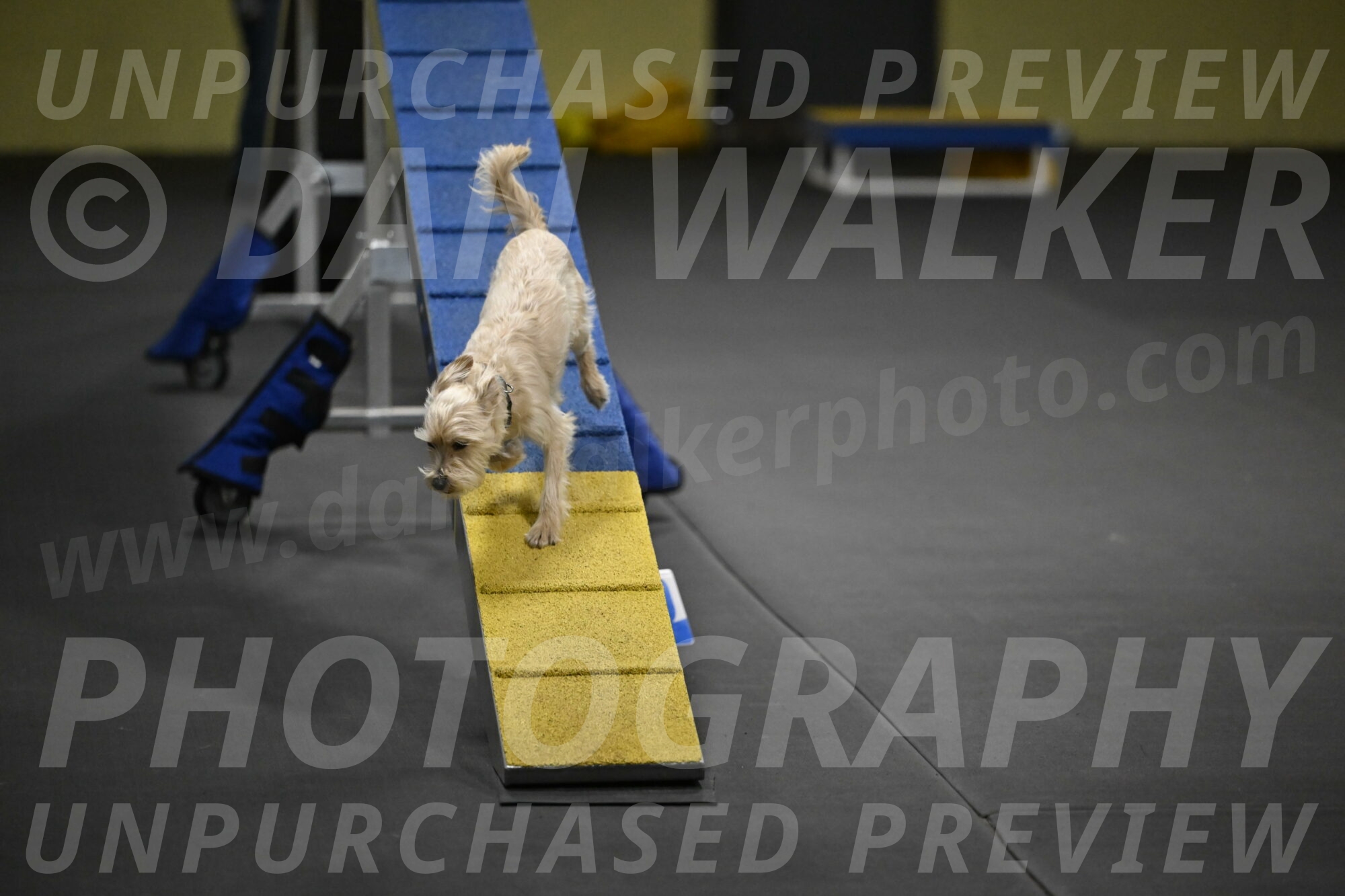 Sammy-Klembara-12280