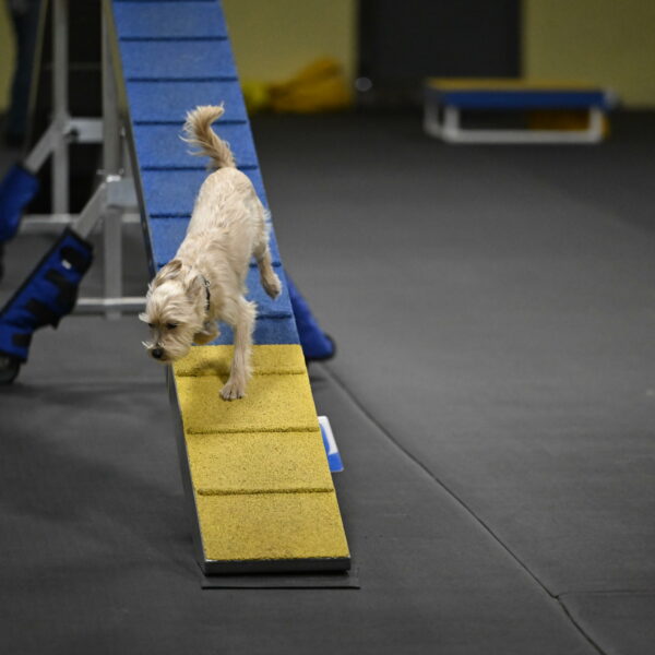 Sammy-Klembara-12280