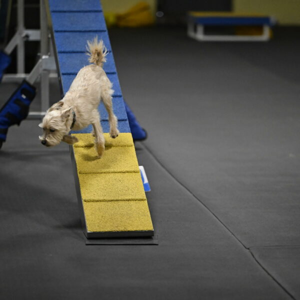 Sammy-Klembara-12281