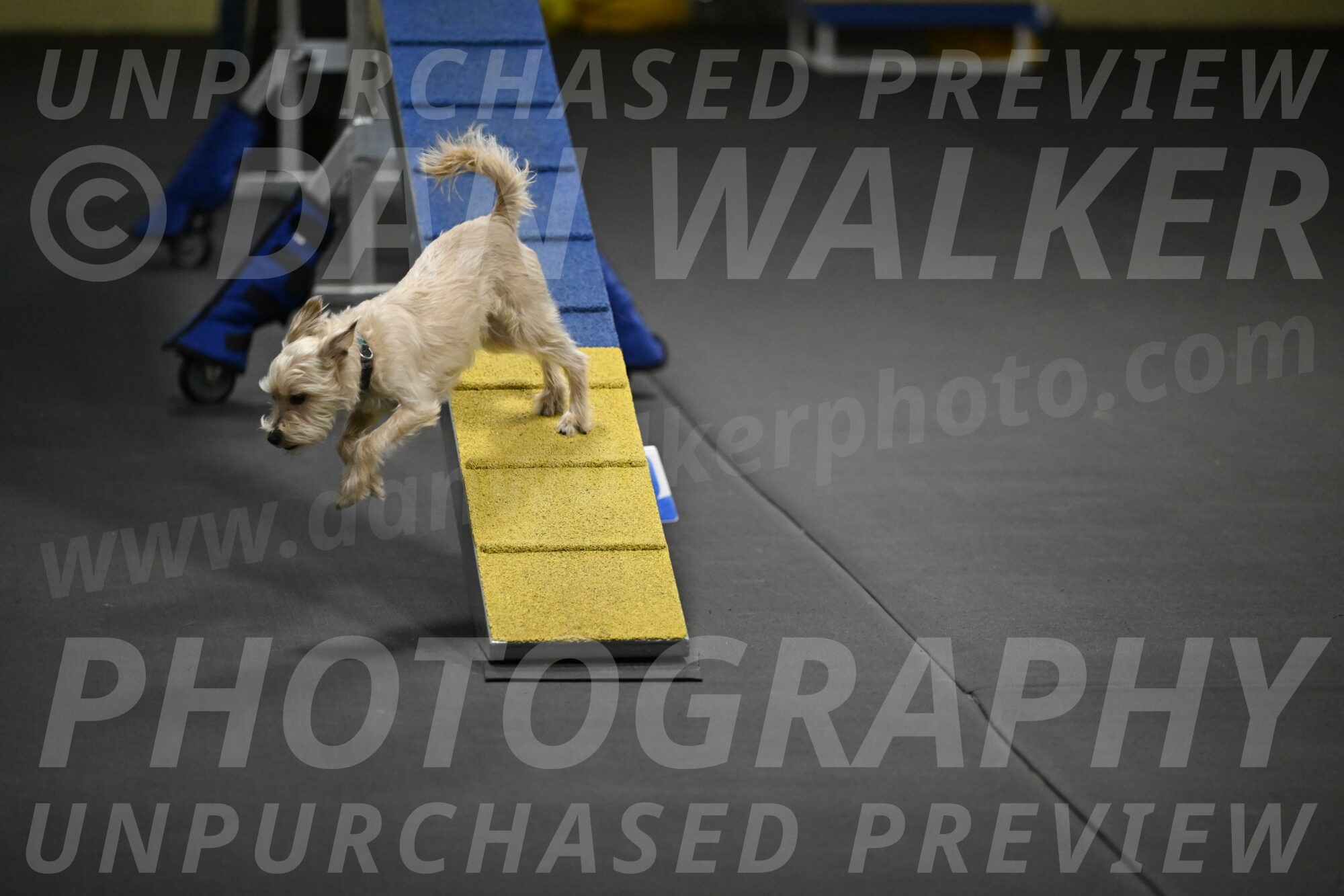 Sammy-Klembara-12282