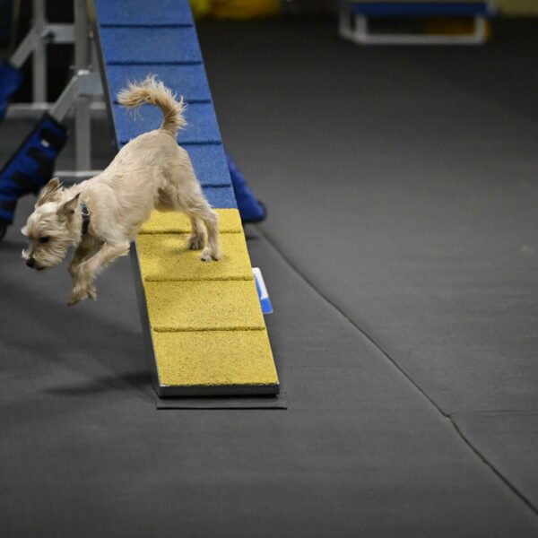 Sammy-Klembara-12282