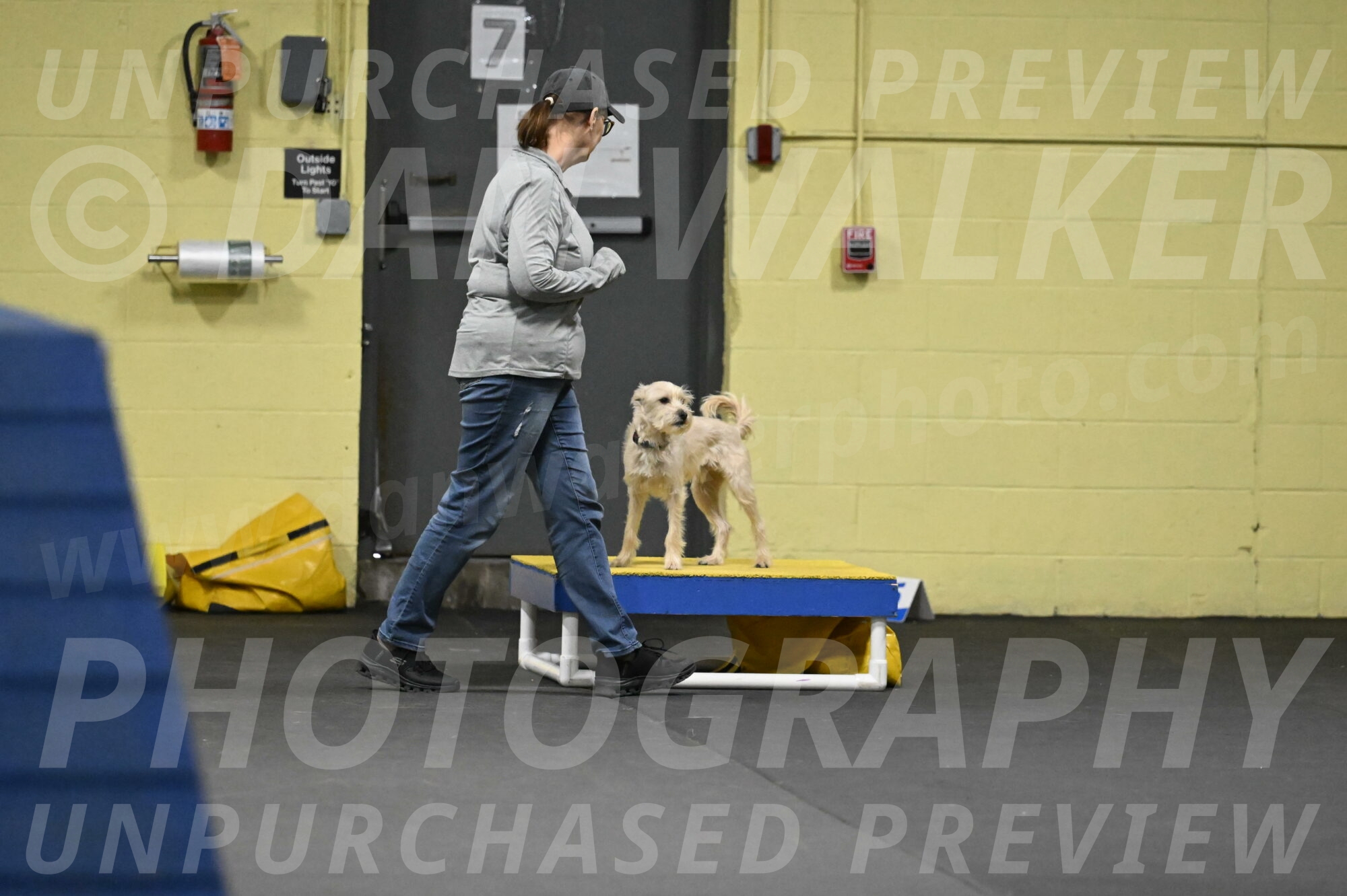 Sammy-Klembara-12284