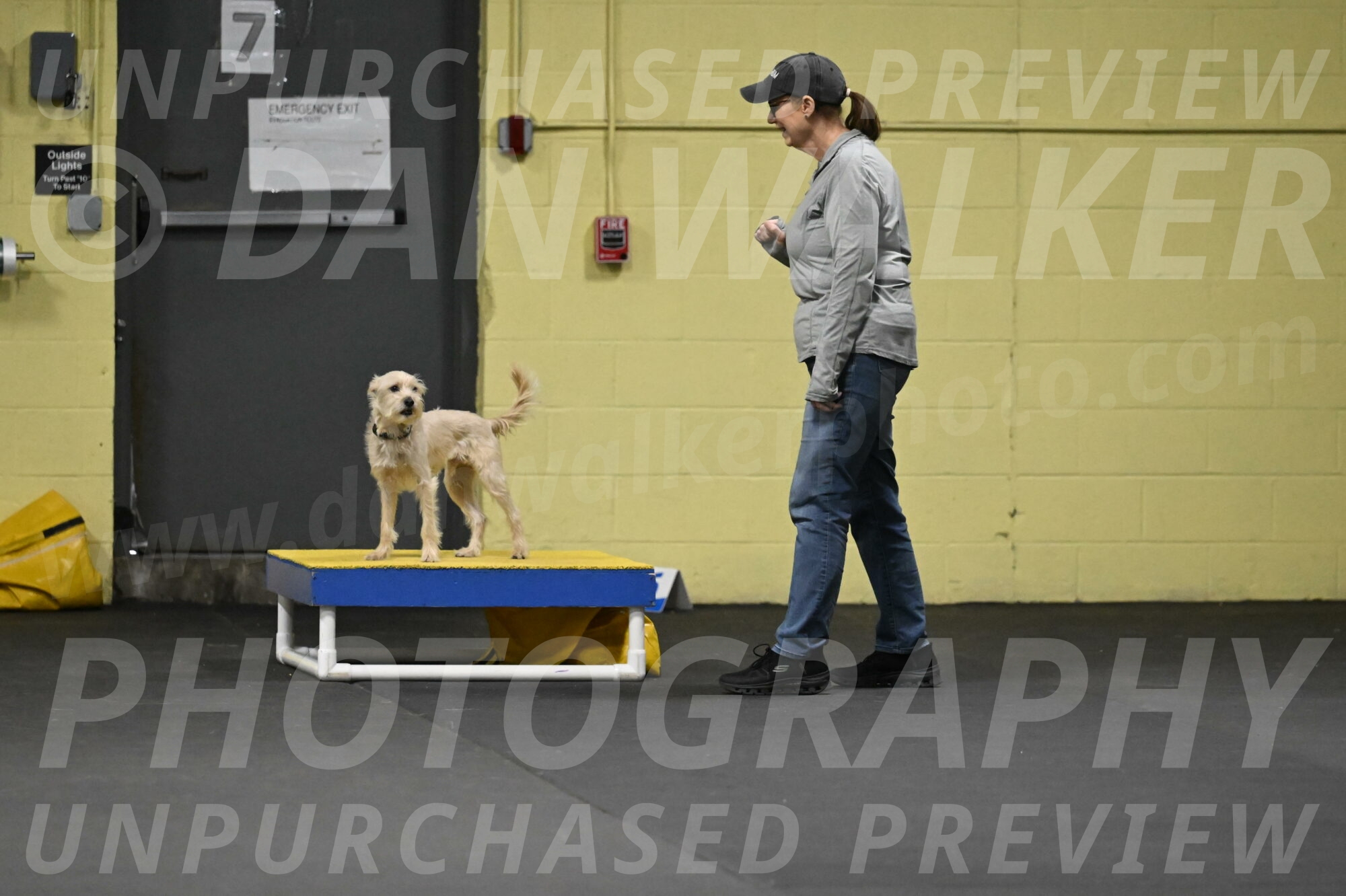 Sammy-Klembara-12288