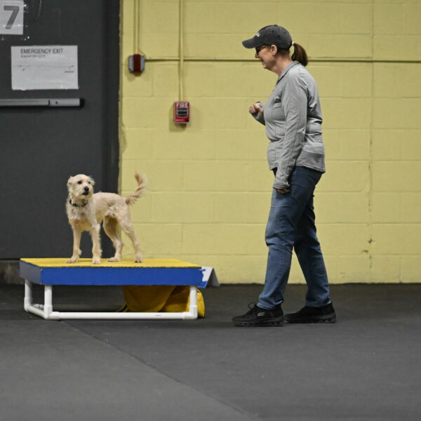 Sammy-Klembara-12288