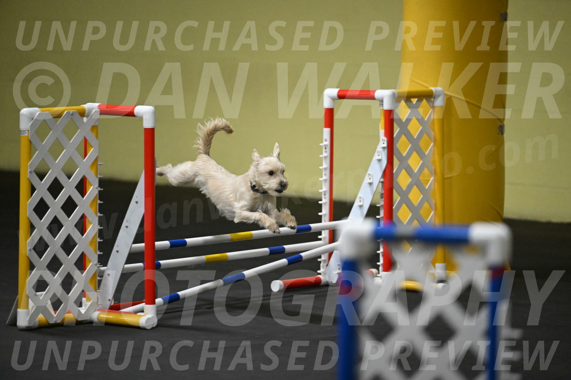 Sammy-Klembara-12290