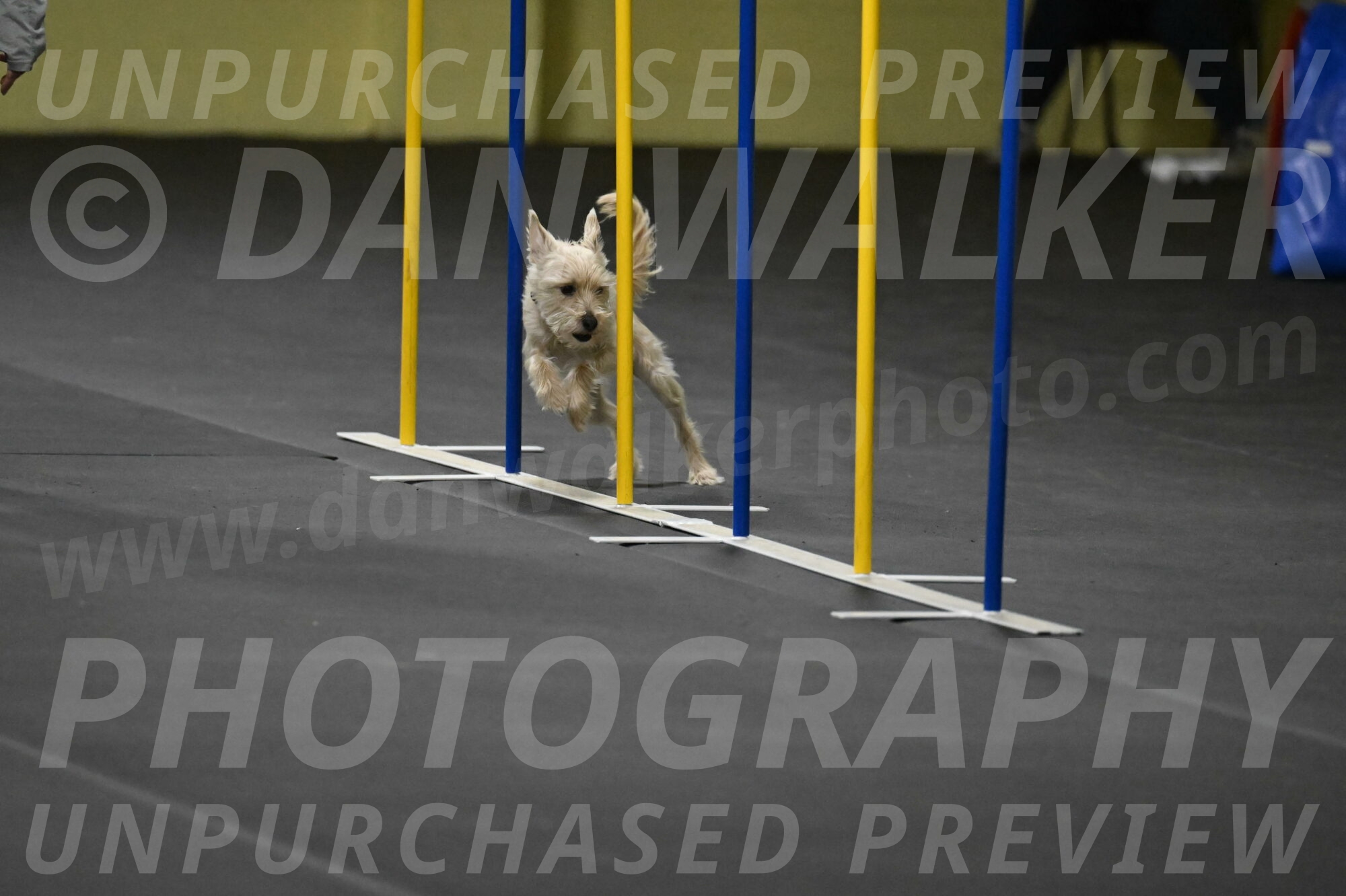 Sammy-Klembara-12305