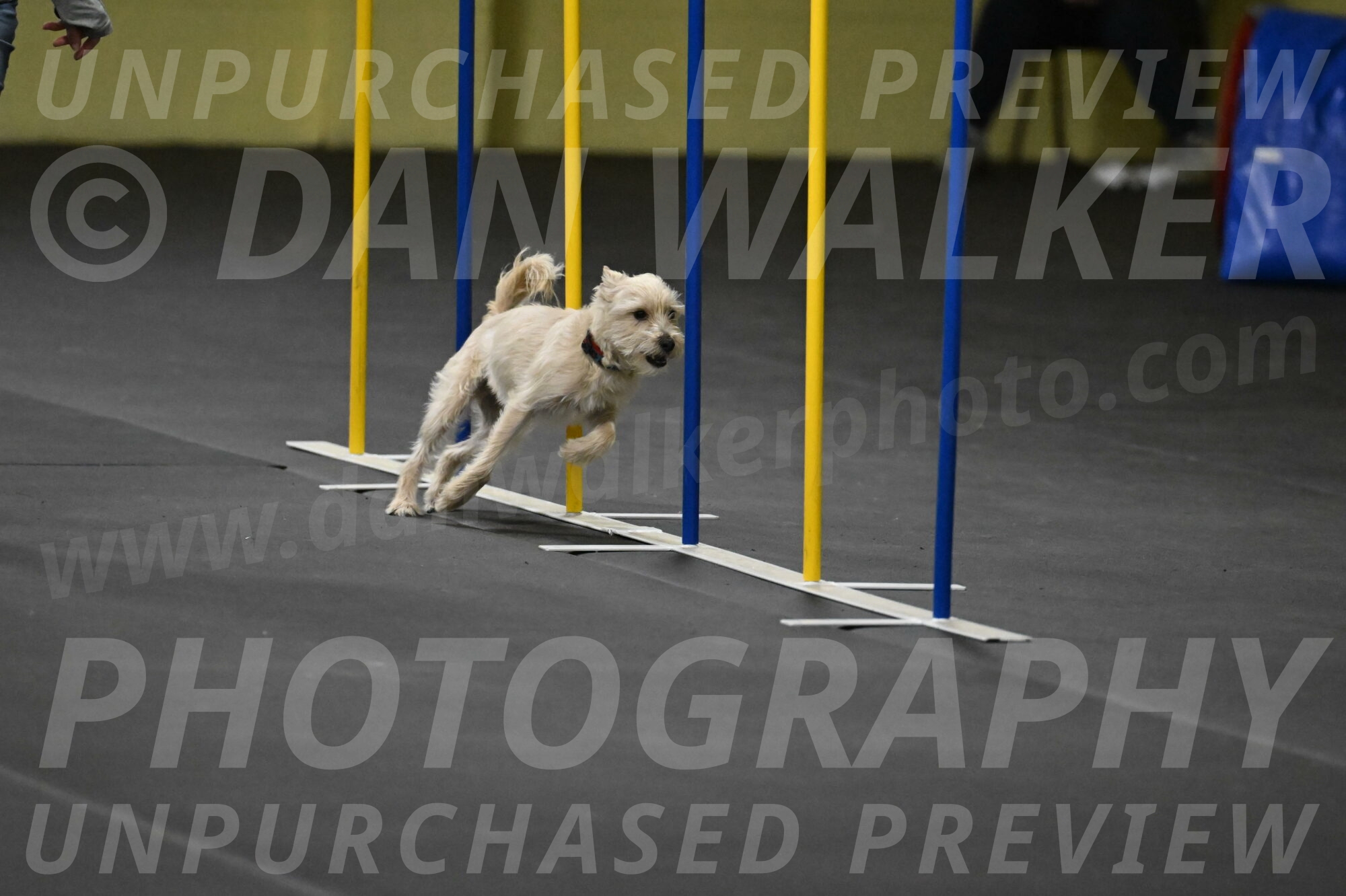 Sammy-Klembara-12308