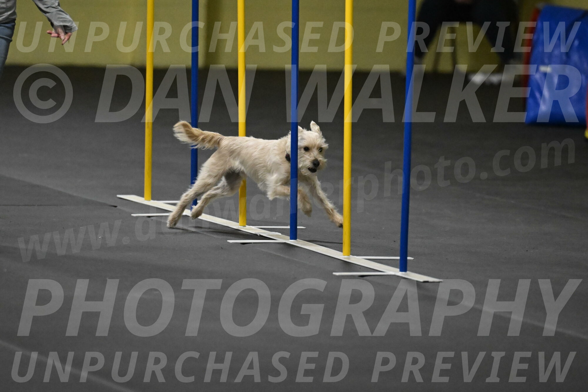 Sammy-Klembara-12309