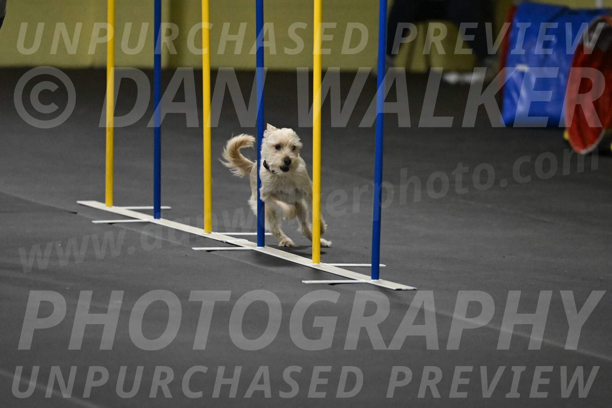 Sammy-Klembara-12311