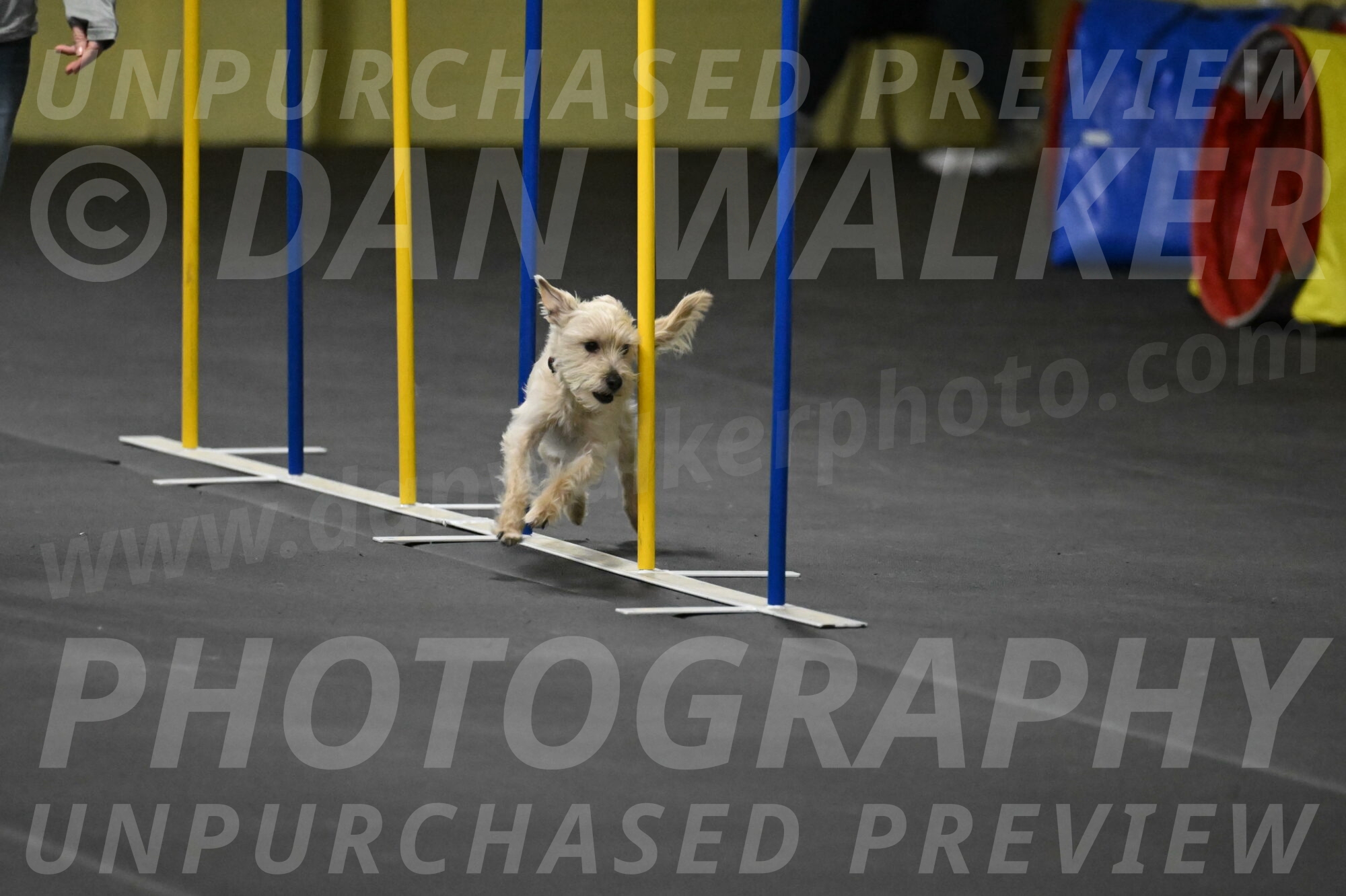 Sammy-Klembara-12312