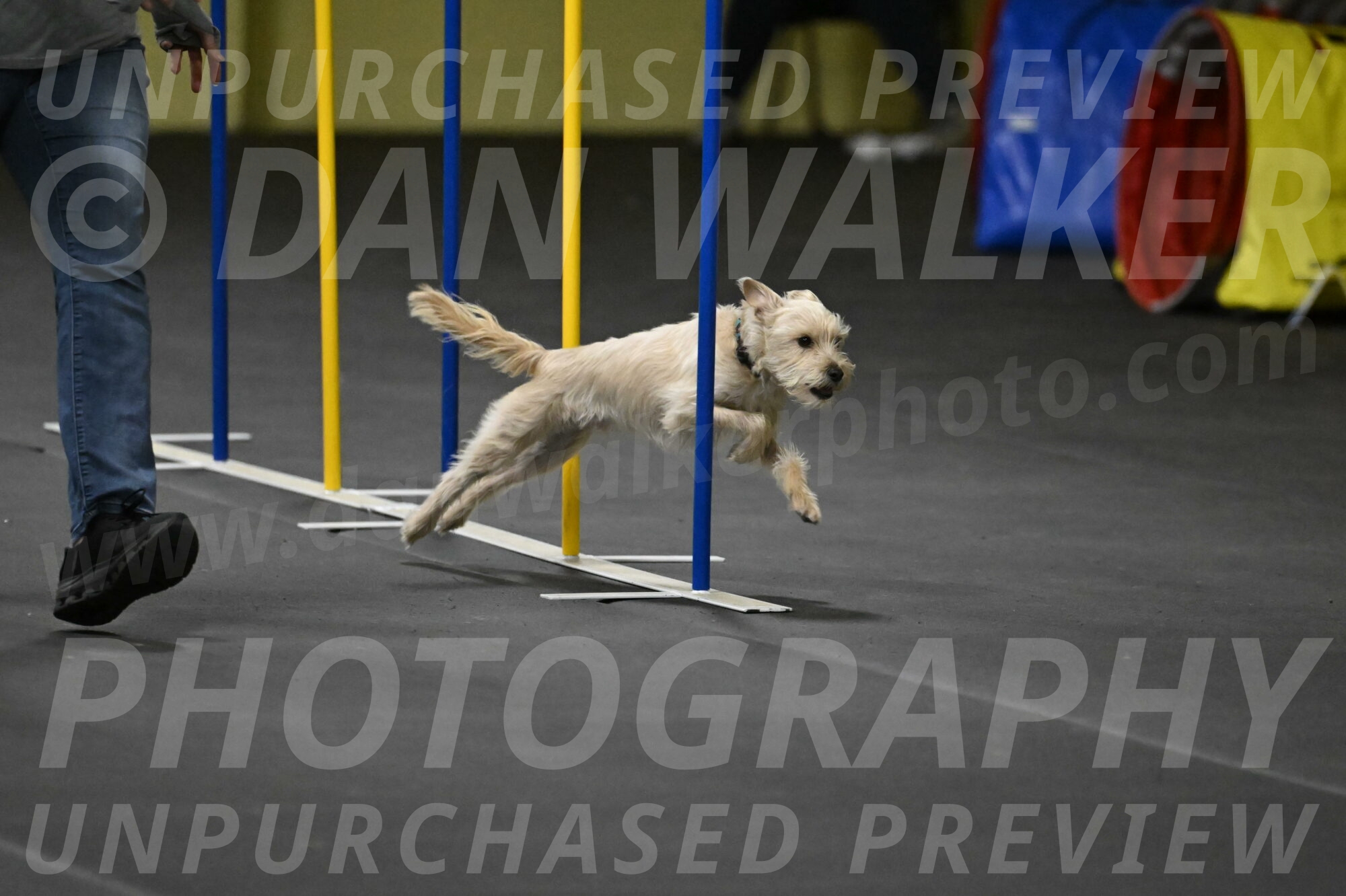 Sammy-Klembara-12315