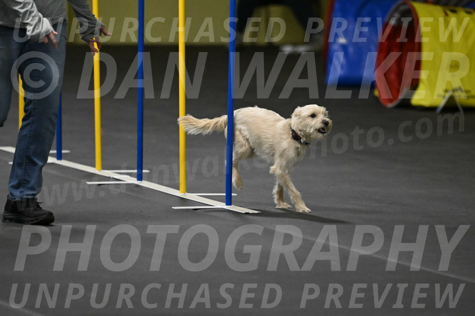 Sammy-Klembara-12316