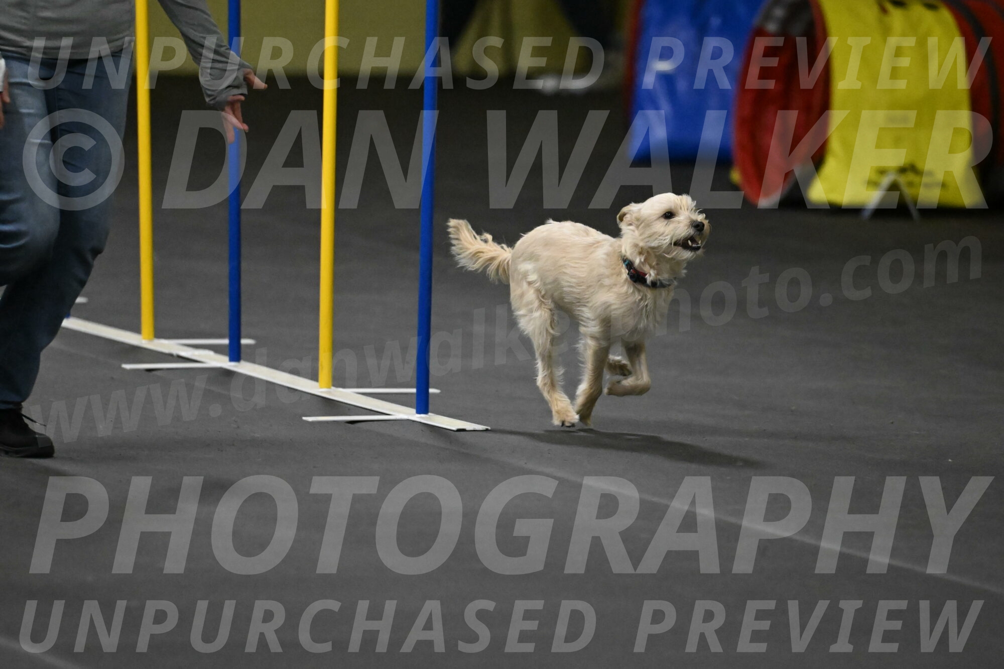 Sammy-Klembara-12317