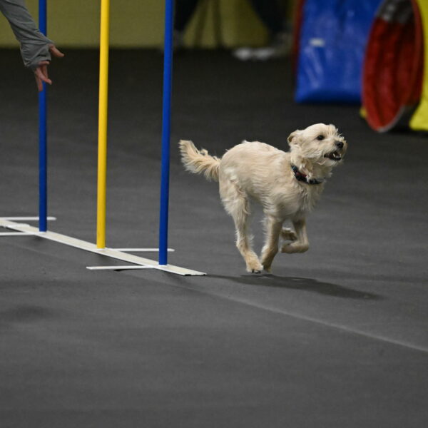 Sammy-Klembara-12317