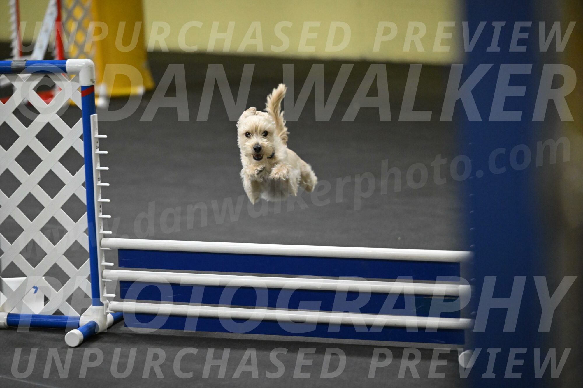 Sammy-Klembara-12321