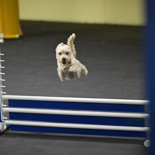 Sammy-Klembara-12321