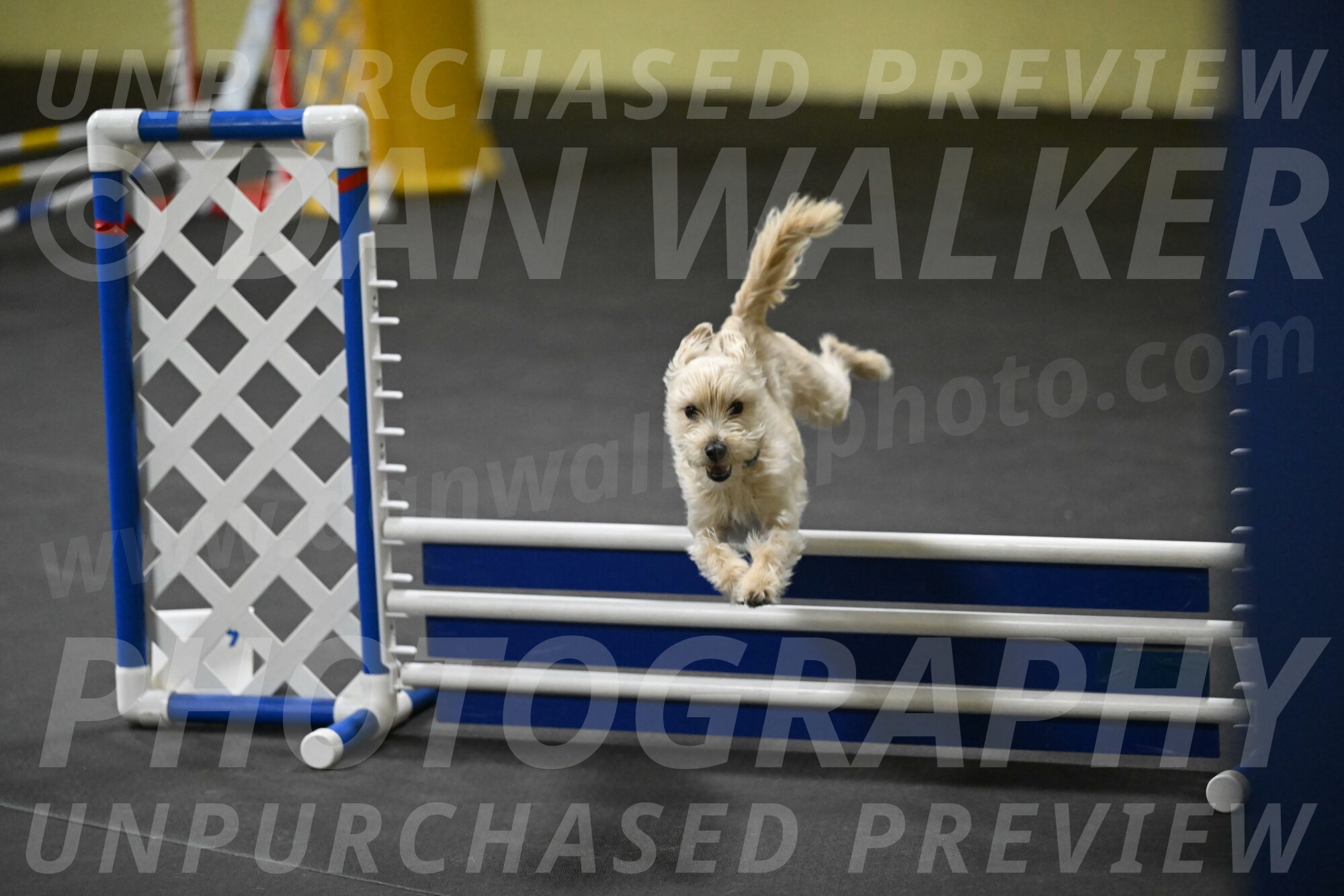 Sammy-Klembara-12323