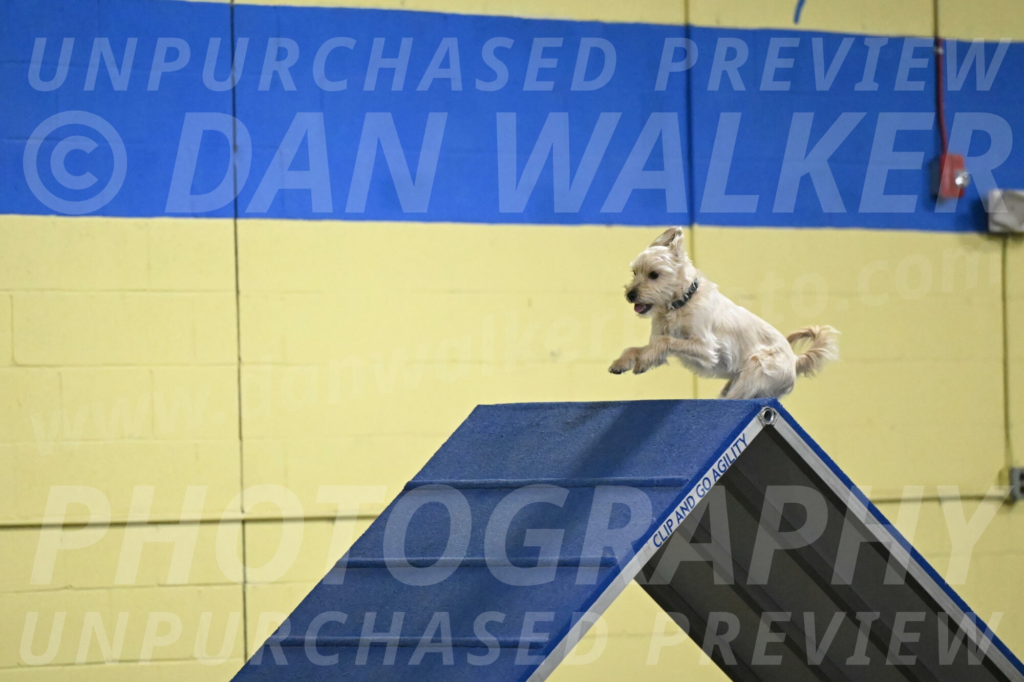 Sammy-Klembara-12326