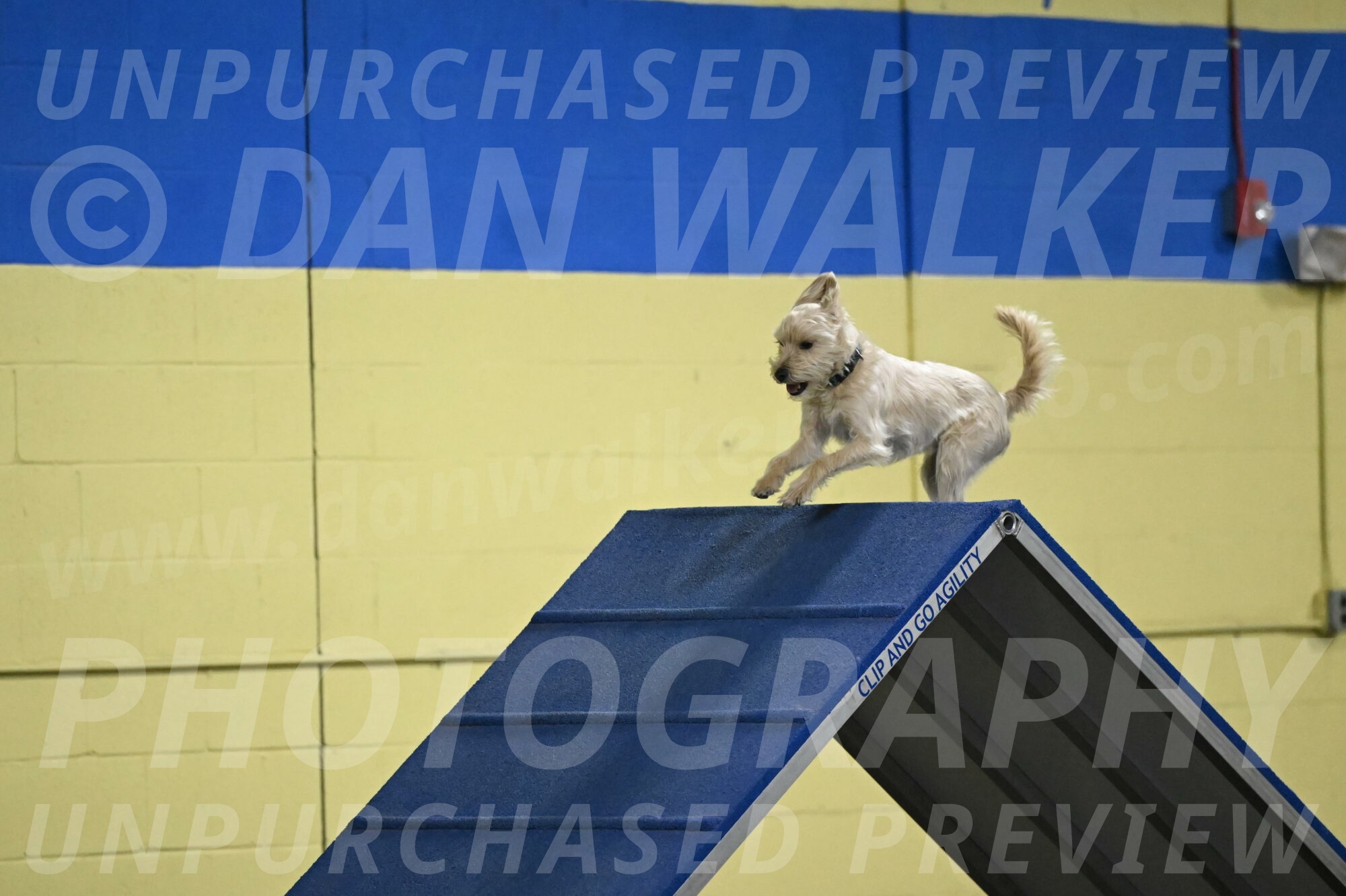 Sammy-Klembara-12327