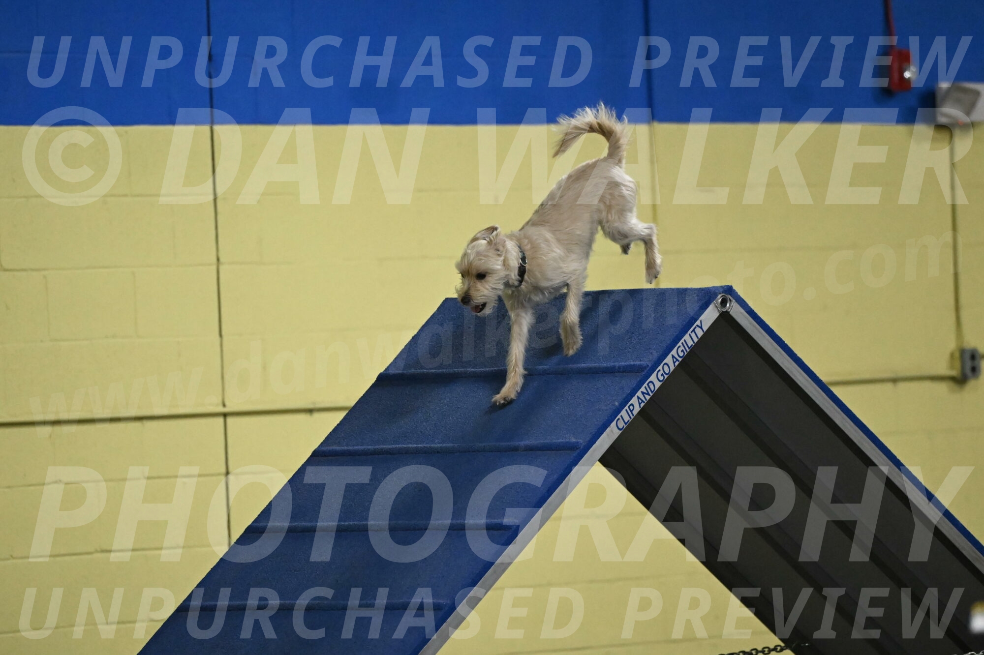 Sammy-Klembara-12329