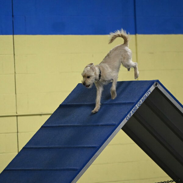 Sammy-Klembara-12329