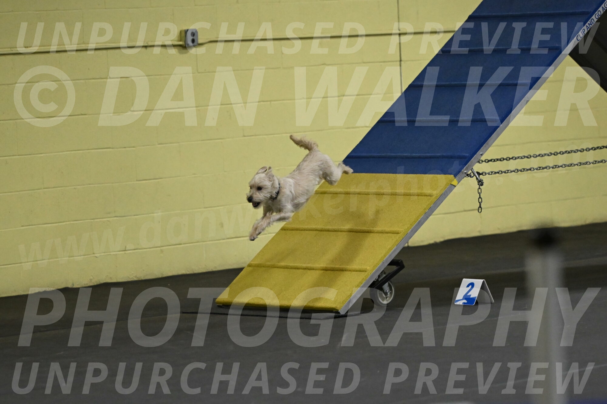 Sammy-Klembara-12336