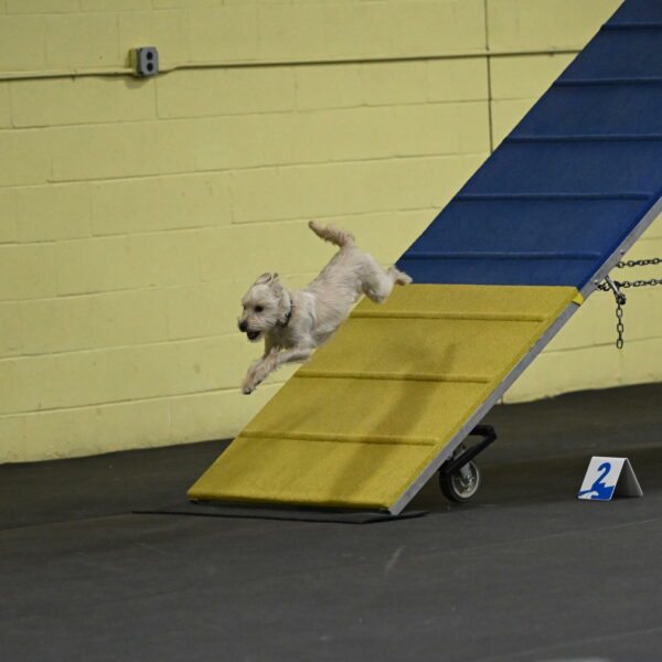 Sammy-Klembara-12336