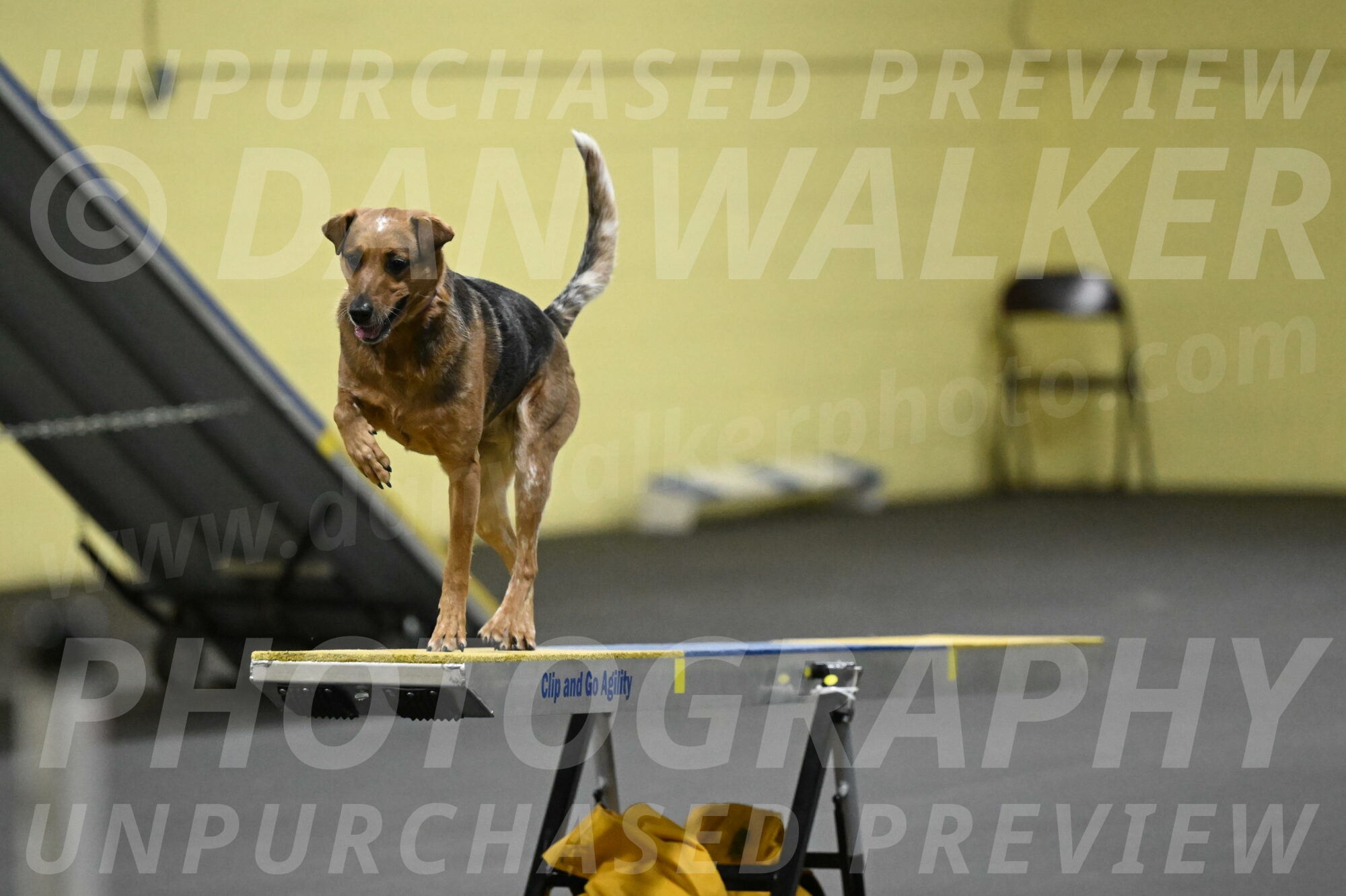 Sassafras-Tirpak-Chylik-10800