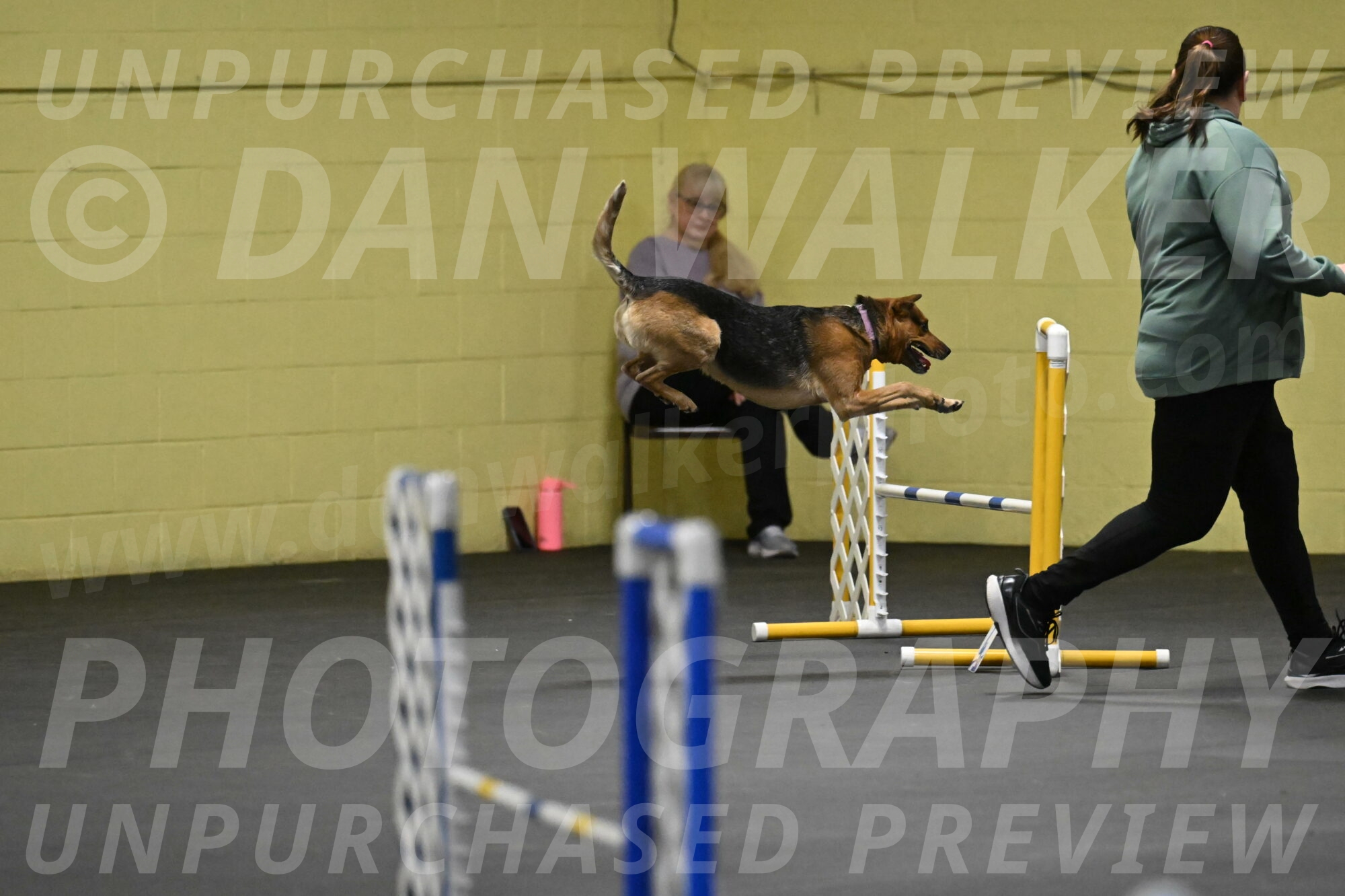 Sassafras-Tirpak-Chylik-10805