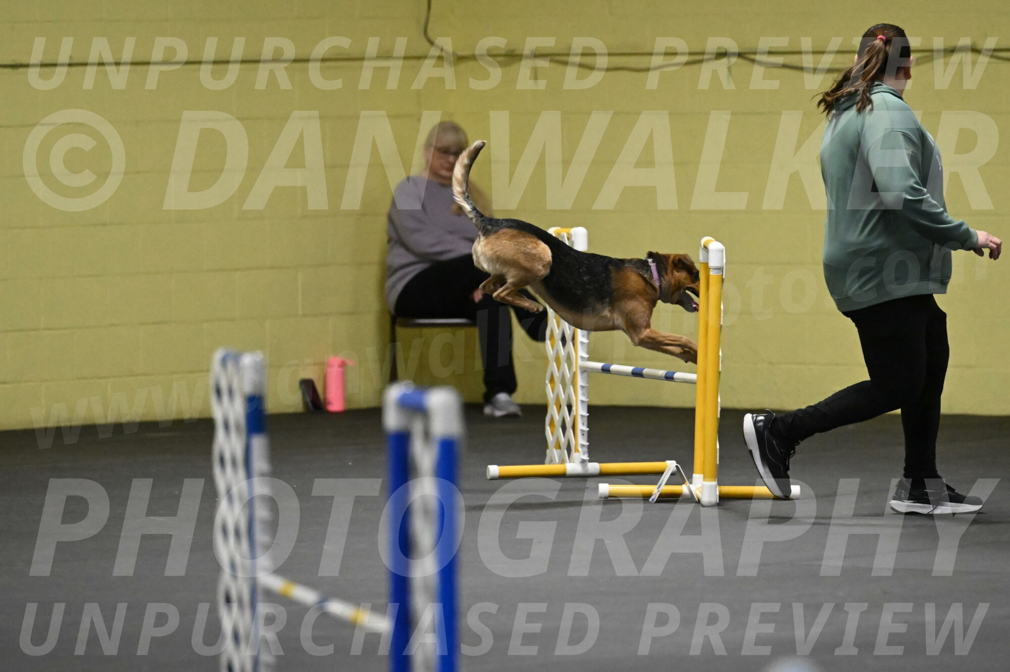 Sassafras-Tirpak-Chylik-10806