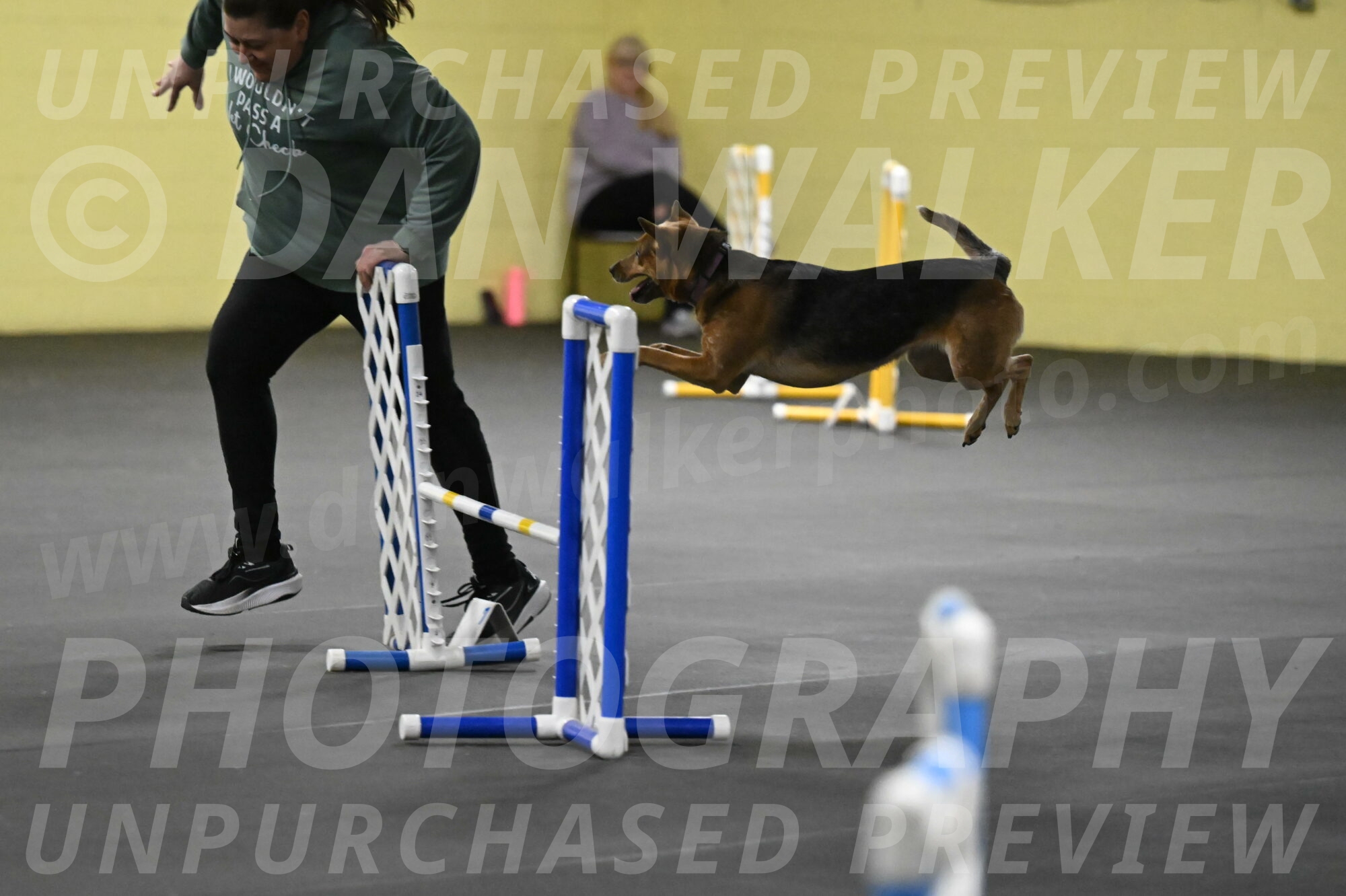 Sassafras-Tirpak-Chylik-10811