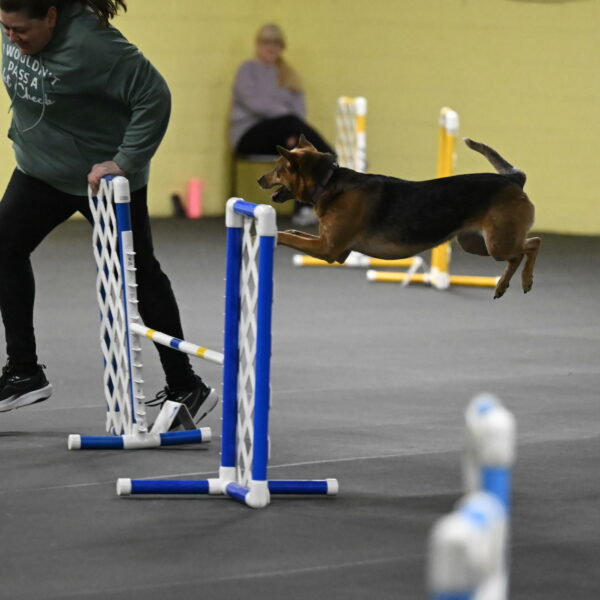 Sassafras-Tirpak-Chylik-10811