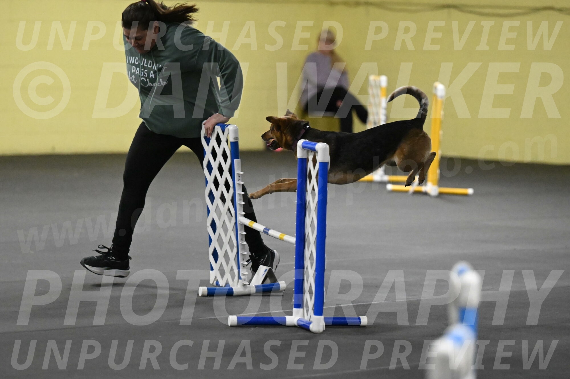 Sassafras-Tirpak-Chylik-10812