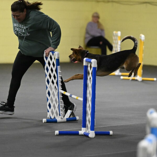 Sassafras-Tirpak-Chylik-10812