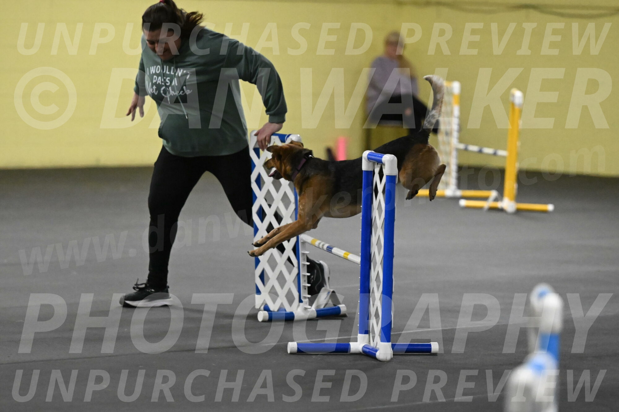 Sassafras-Tirpak-Chylik-10813