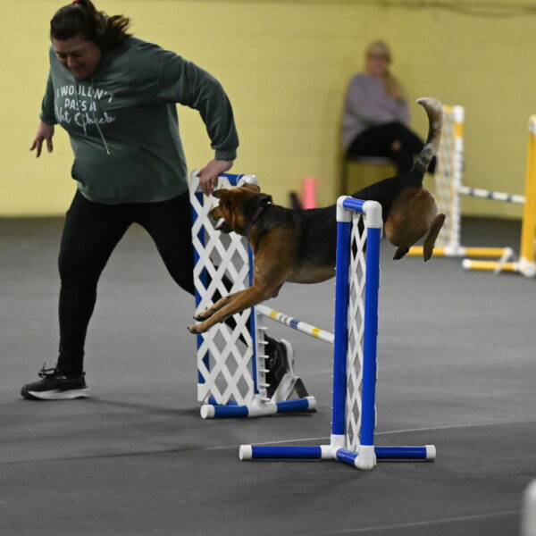 Sassafras-Tirpak-Chylik-10813