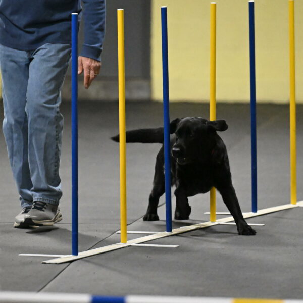 Sedona-Kasmarcak-10976