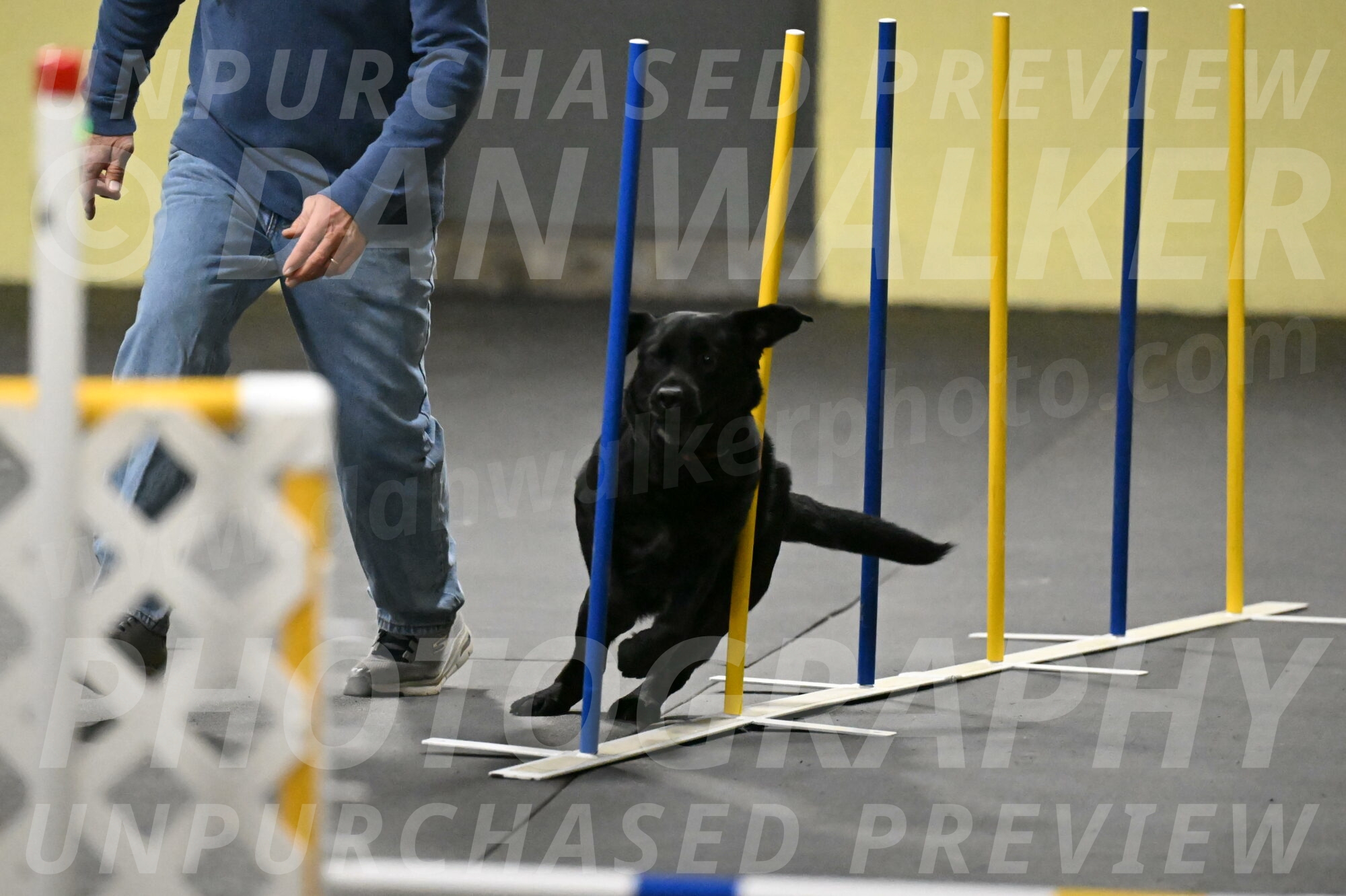 Sedona-Kasmarcak-10981