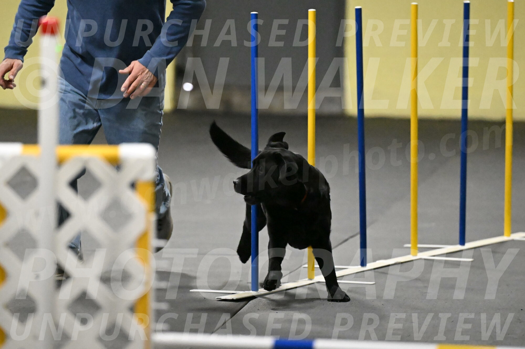 Sedona-Kasmarcak-10983