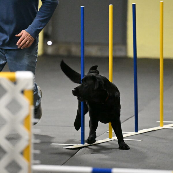 Sedona-Kasmarcak-10983