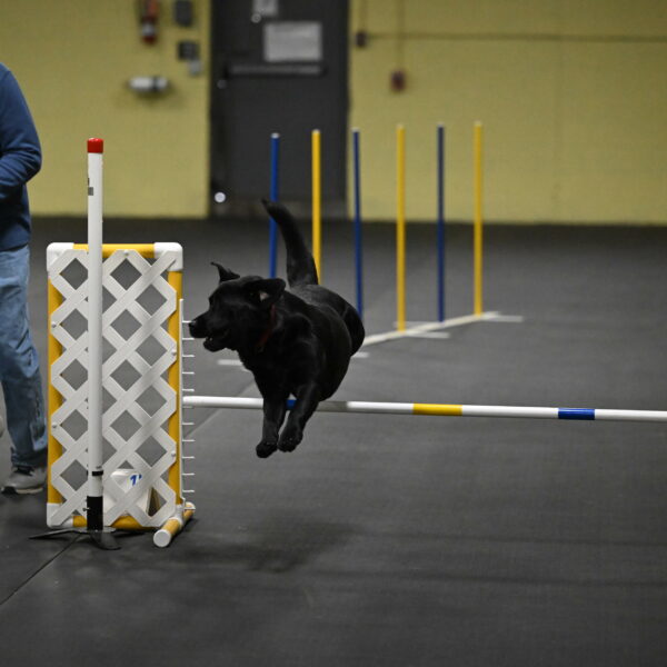 Sedona-Kasmarcak-10988