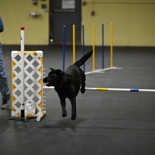 Sedona-Kasmarcak-10989