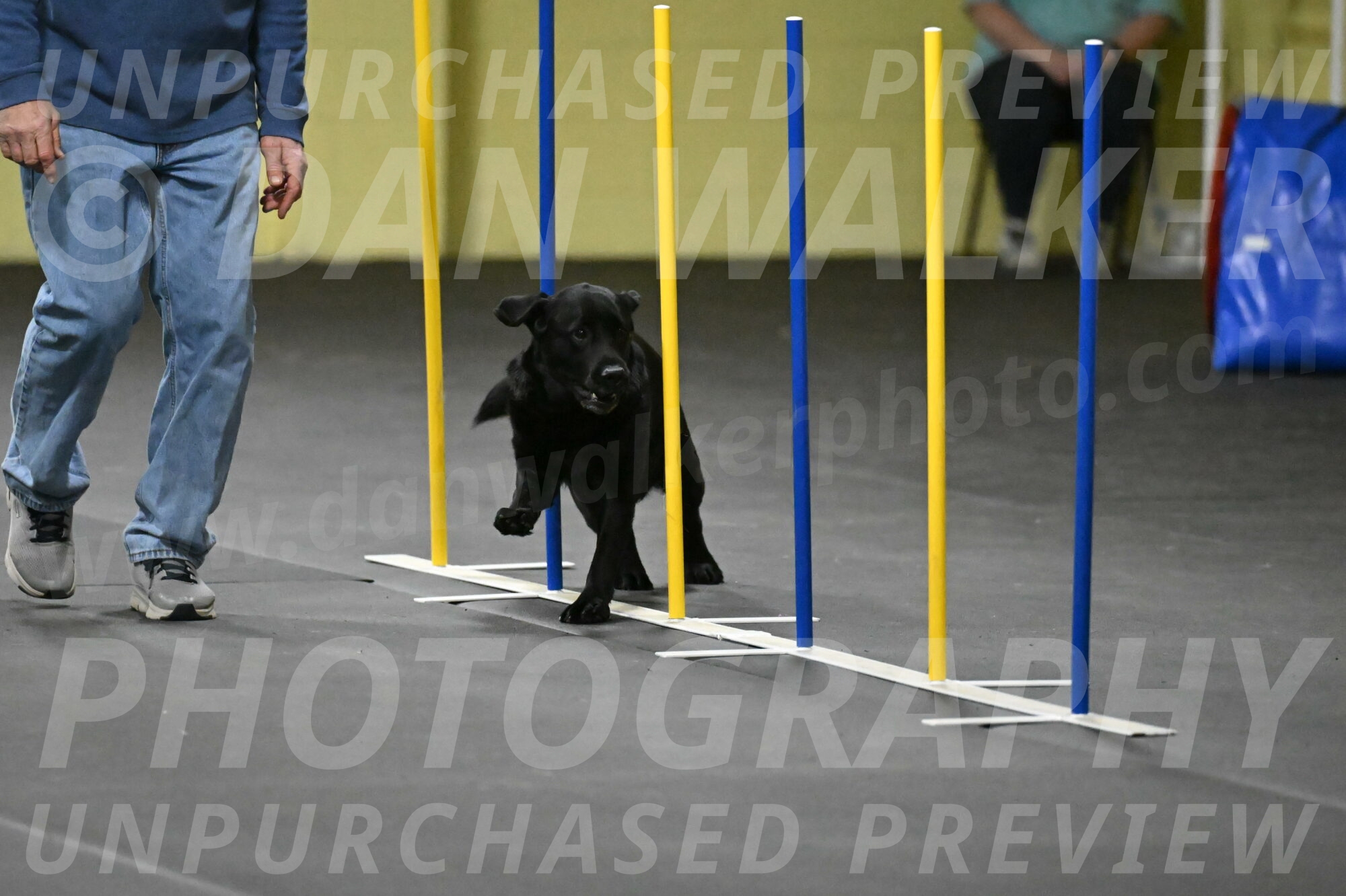 Sedona-Kasmarcak-10996