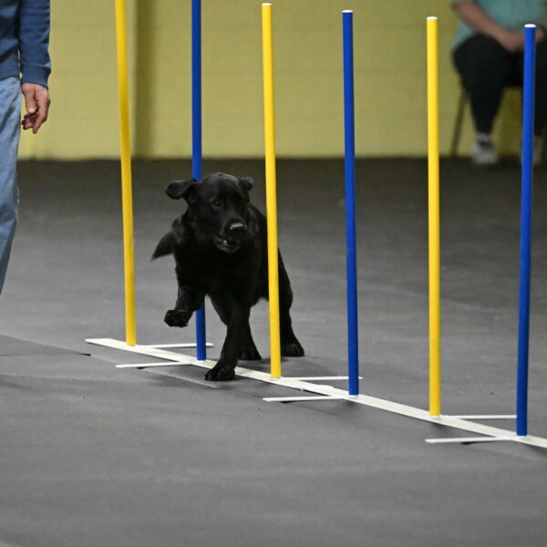 Sedona-Kasmarcak-10996