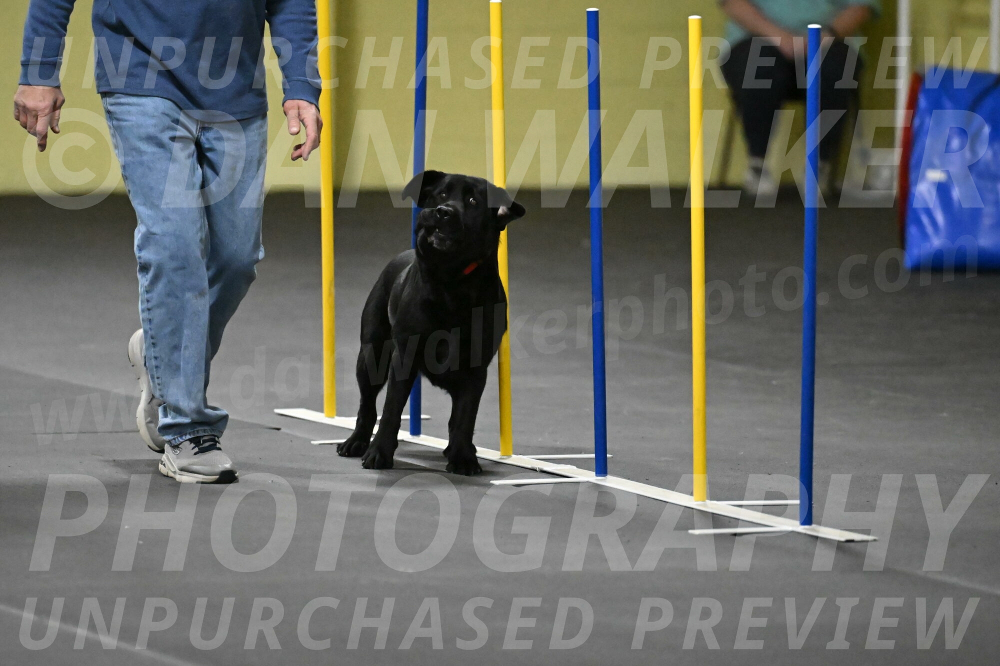 Sedona-Kasmarcak-11001