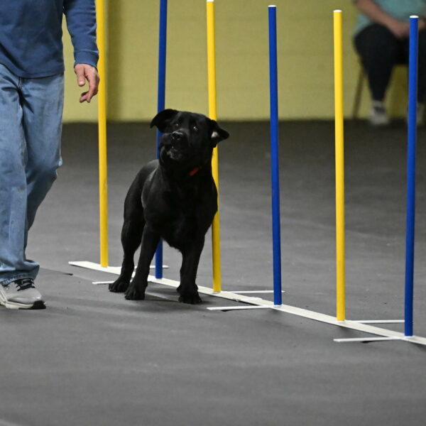 Sedona-Kasmarcak-11001