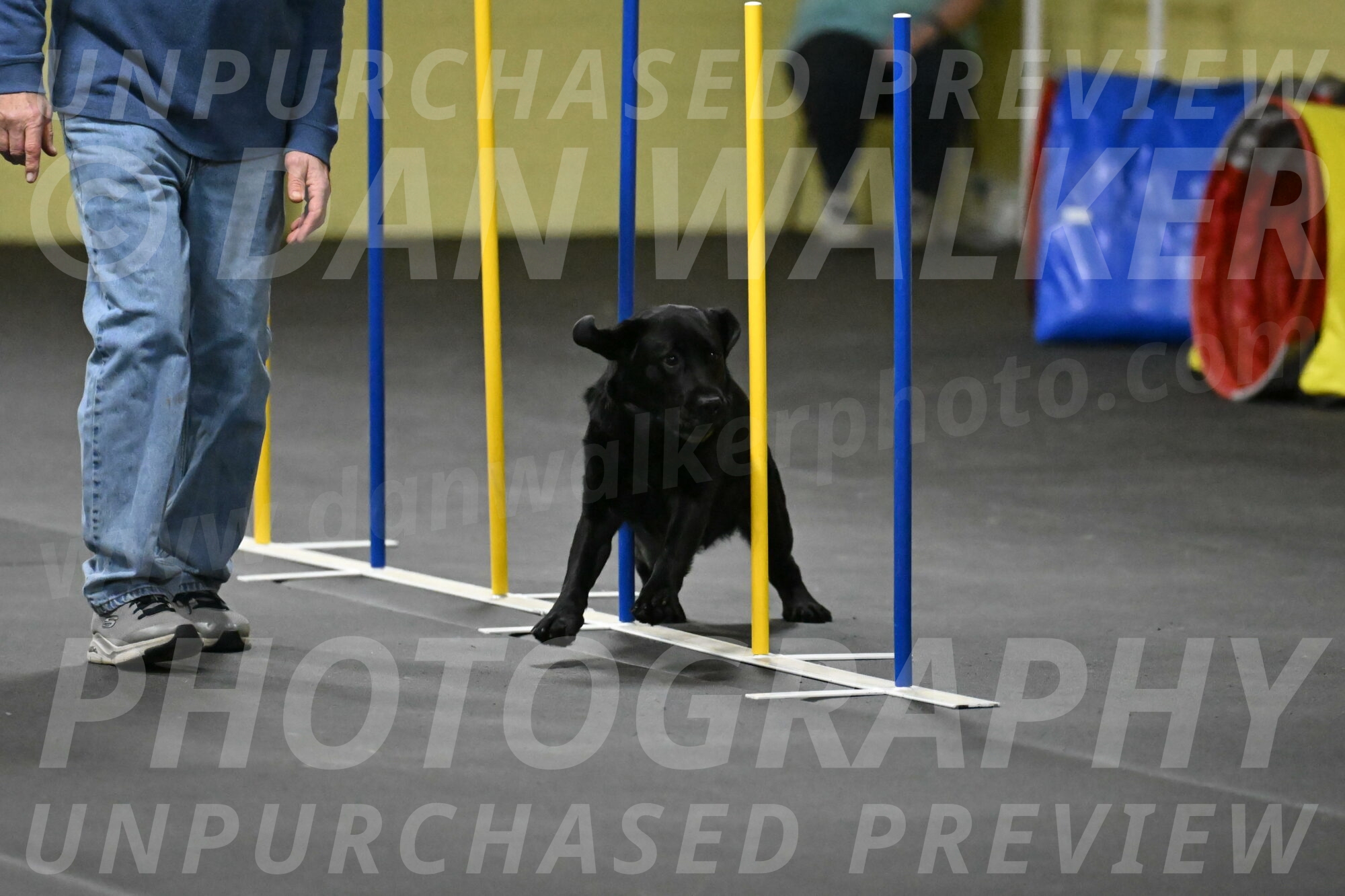 Sedona-Kasmarcak-11007