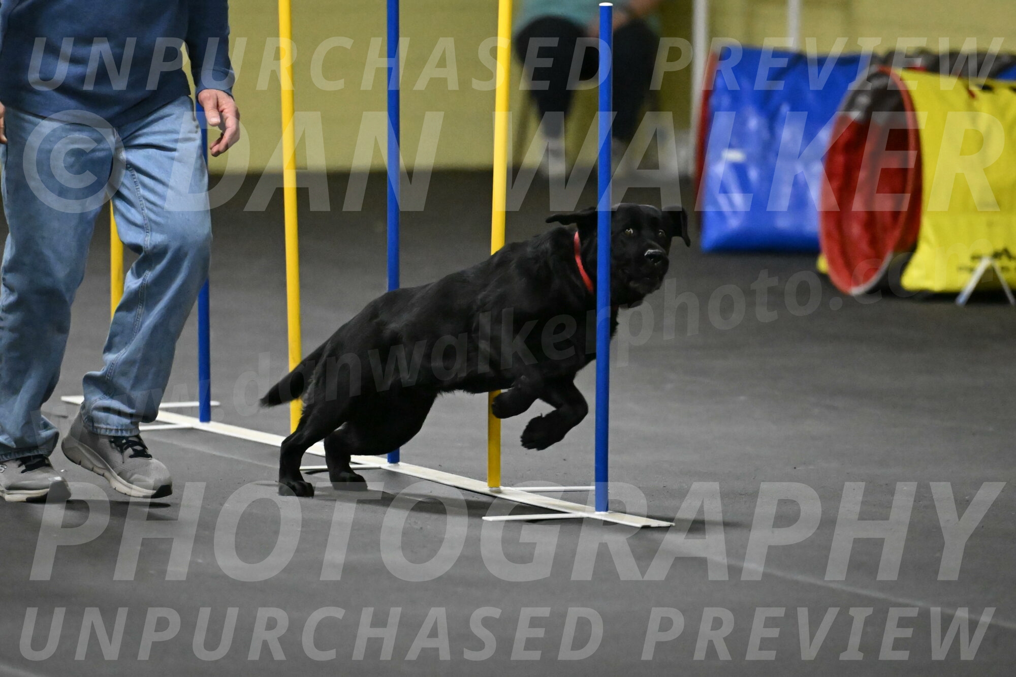 Sedona-Kasmarcak-11010